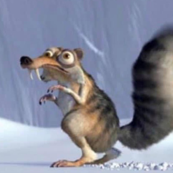 Meet your Posher, Brad - Picture 1 of 1